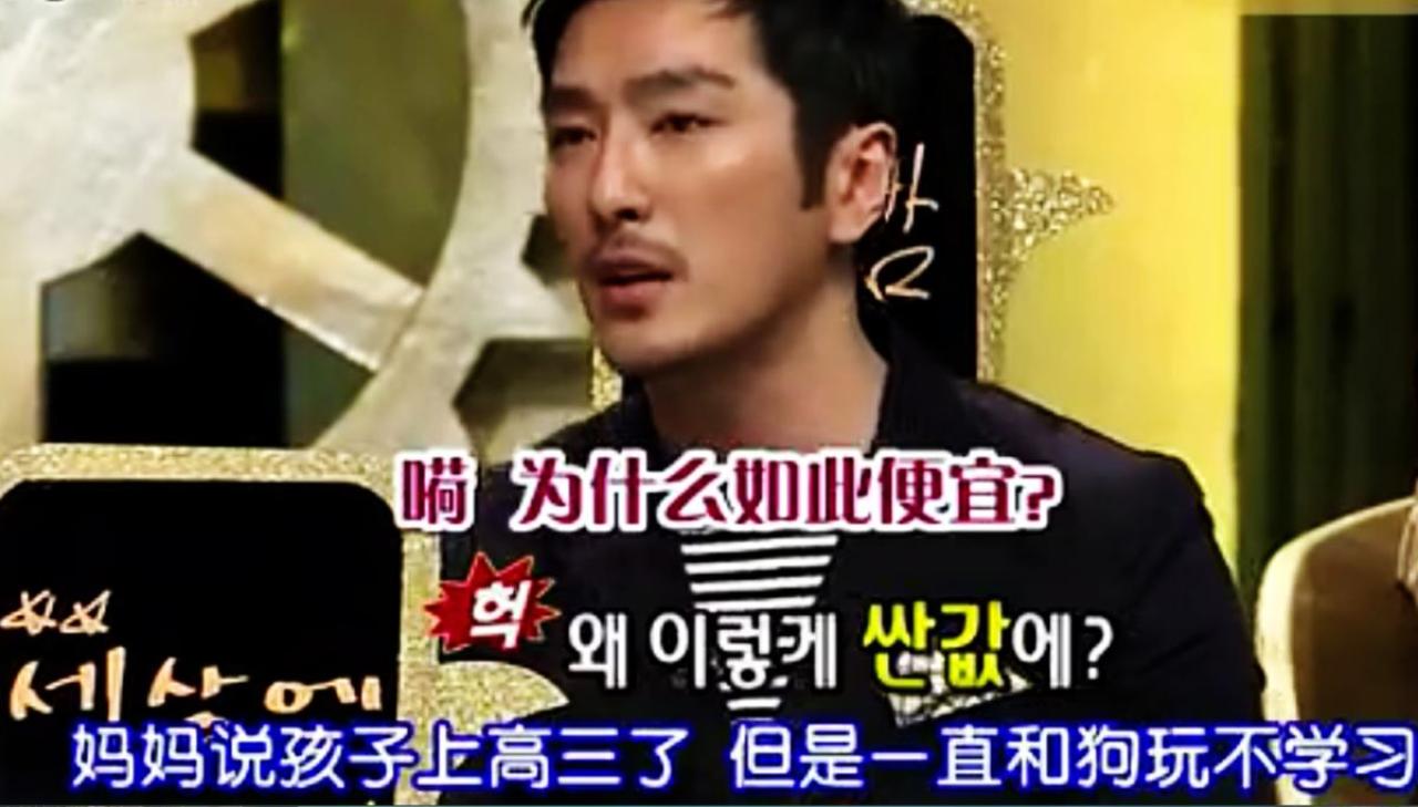 原来妈妈为了不干扰孩子学习，低价转让家里的比熊犬