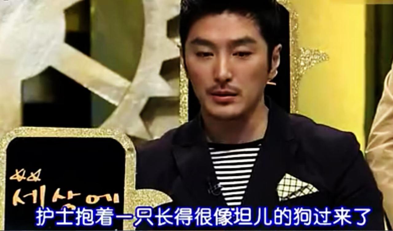 结果护士抱着一直长得很像坦儿的狗过来了