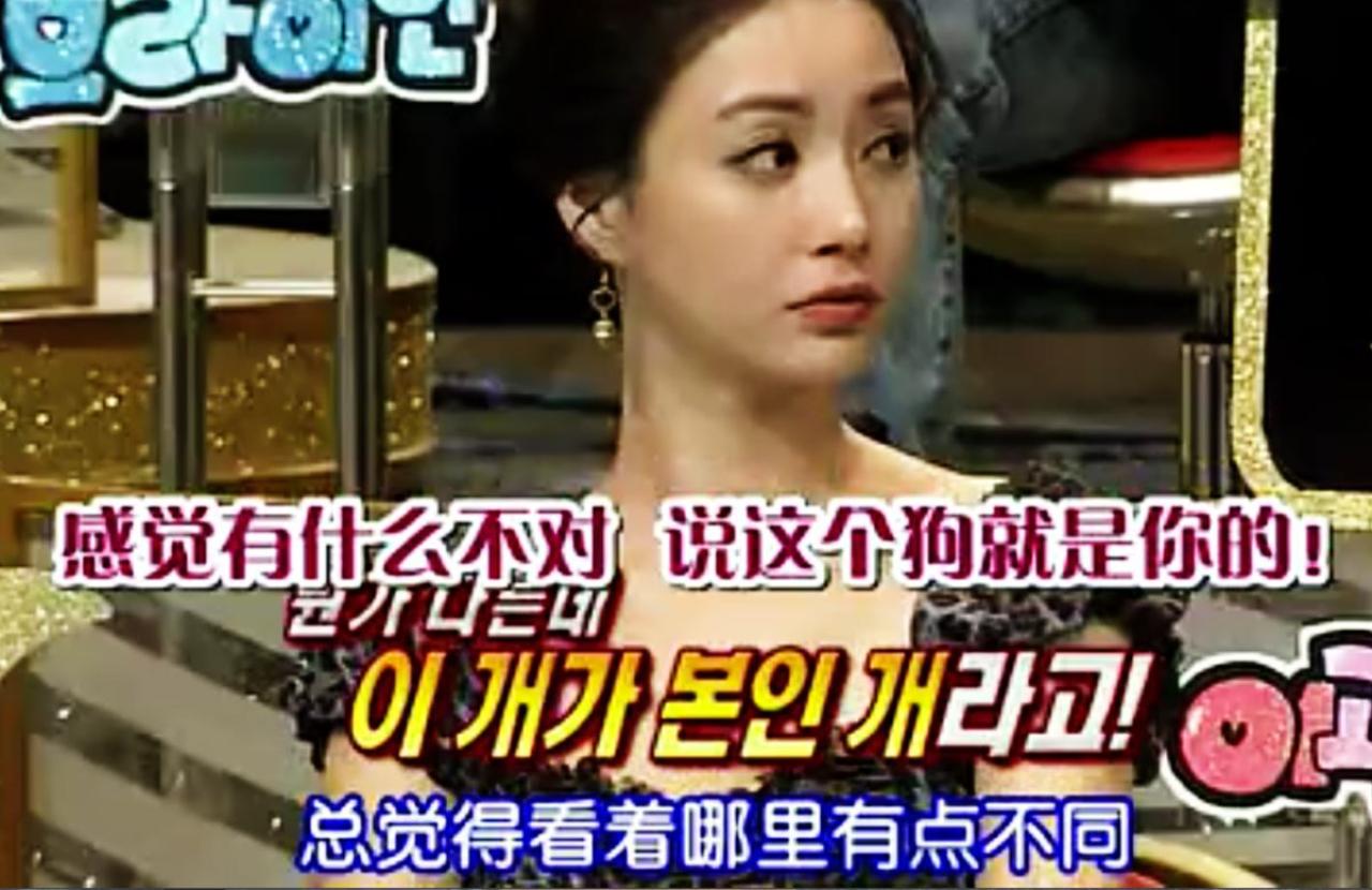 同样养狗的女嘉宾关切地看着柳泰俊叙述