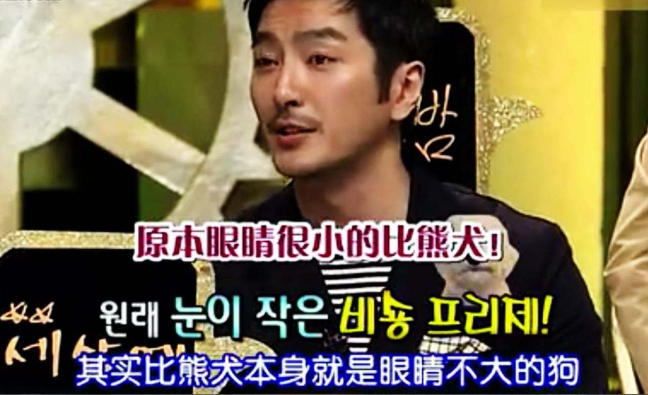 柳泰俊表示比熊犬本来眼睛都不大