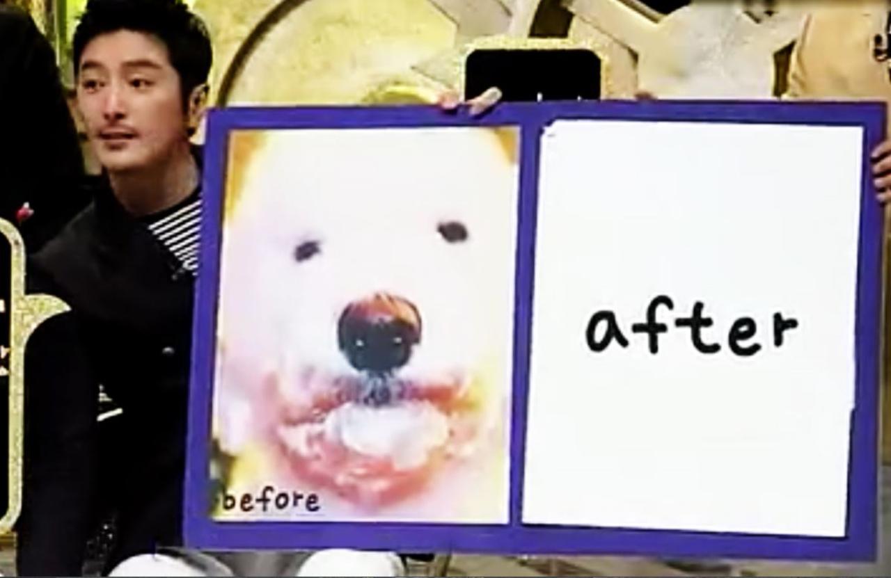 柳泰俊先揭开了狗狗坦儿之前的容貌，是小眼睛