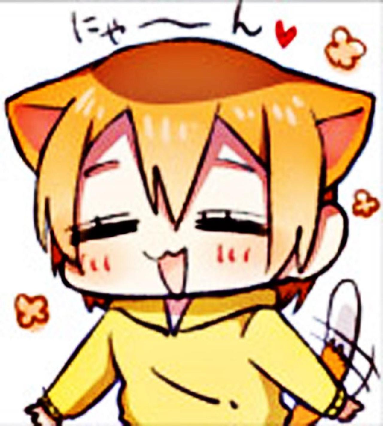 星空凛陶醉地微笑萌化猫咪表情