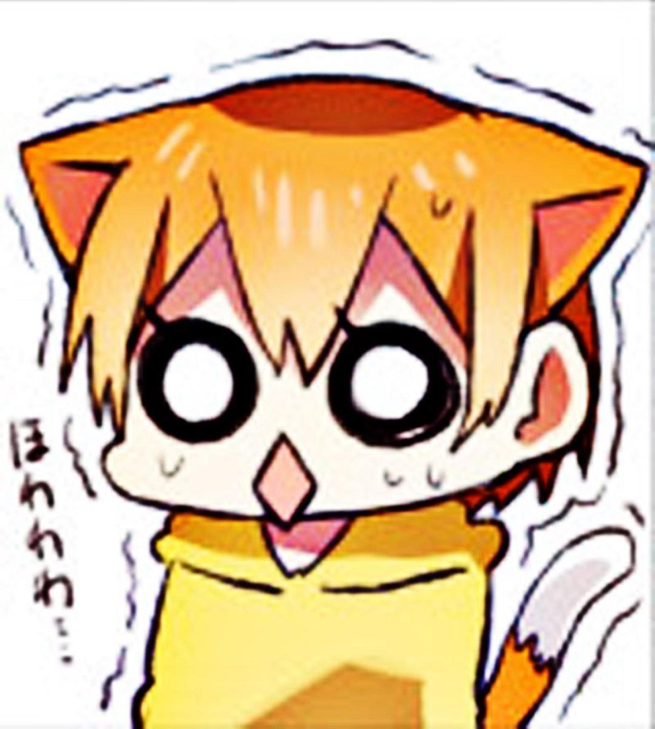 星空凛瞪眼焦虑神情萌化猫咪表情