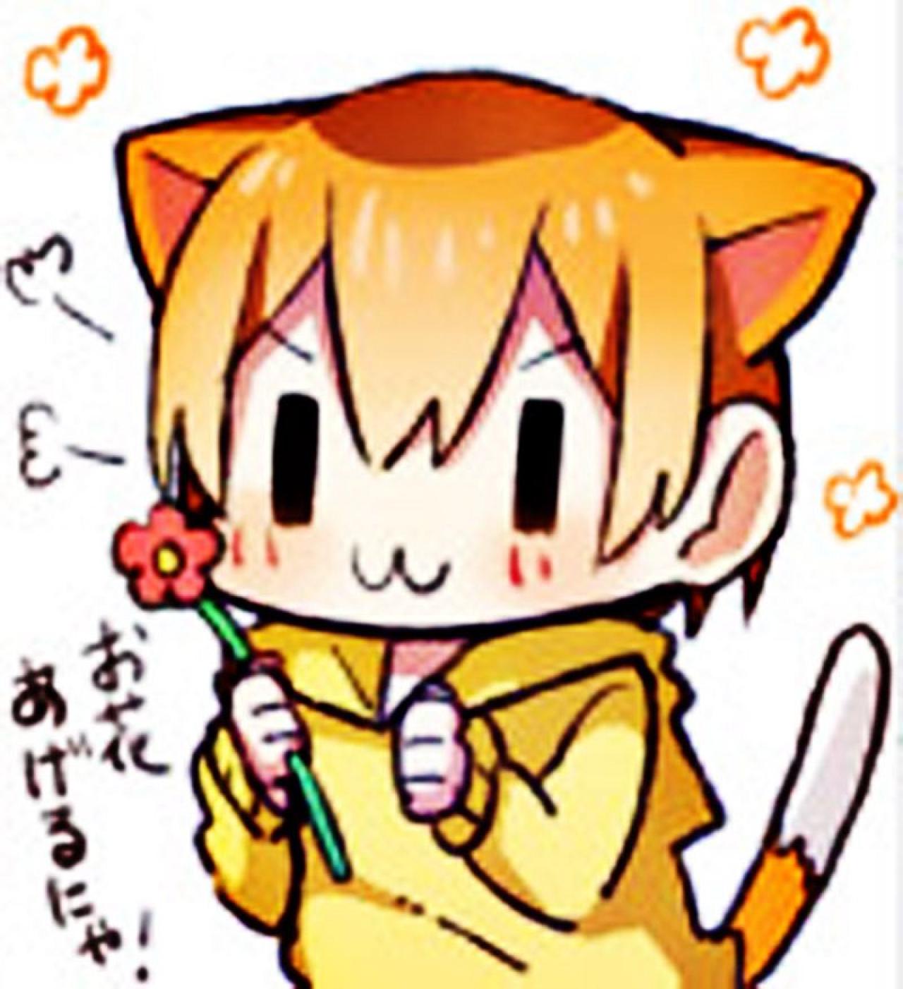 星空凛拿着小花主动姿态的萌化猫咪表情