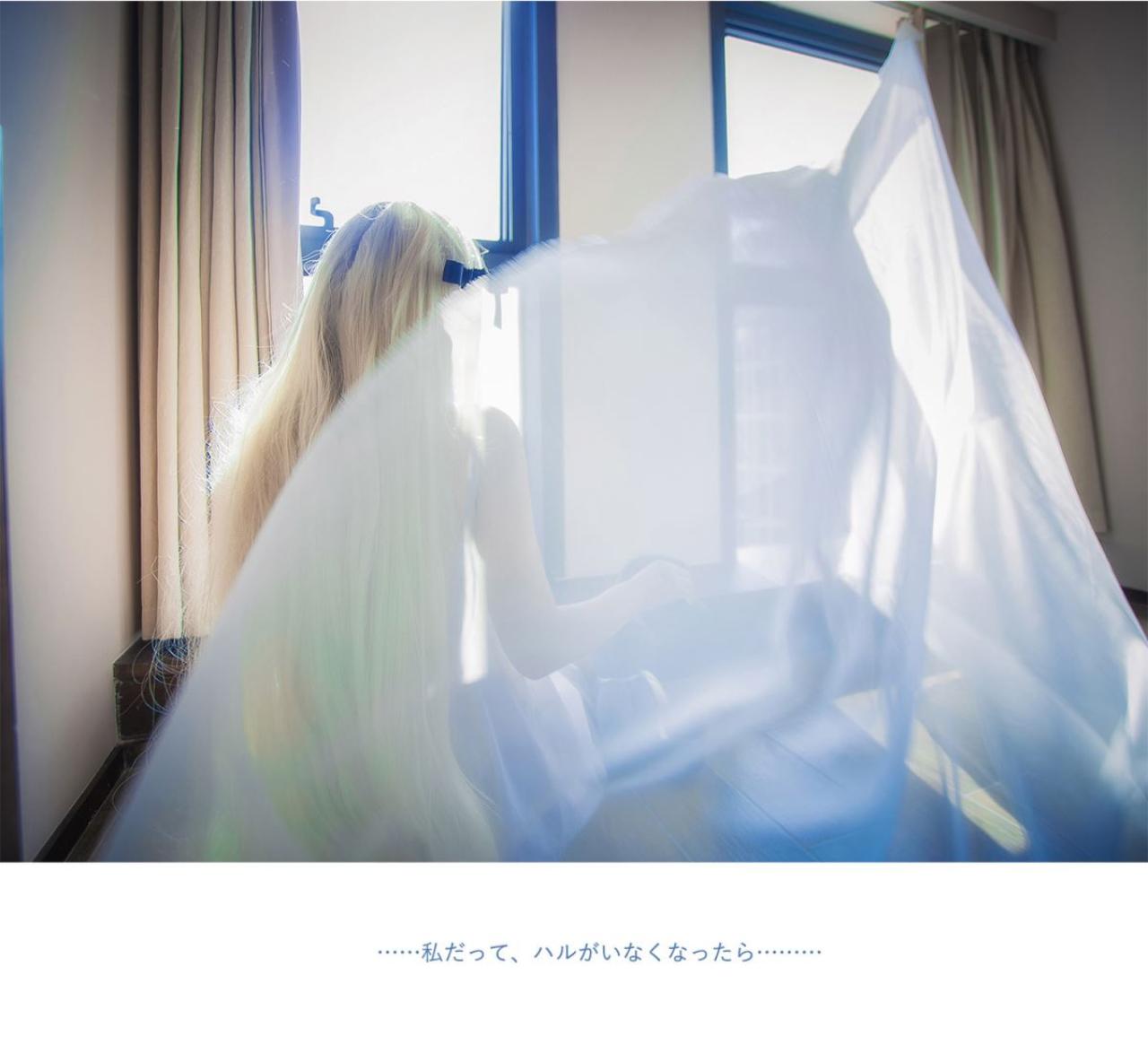 七羽扮演春日野穹站在窗前：……如果春天逝去，那么我也……