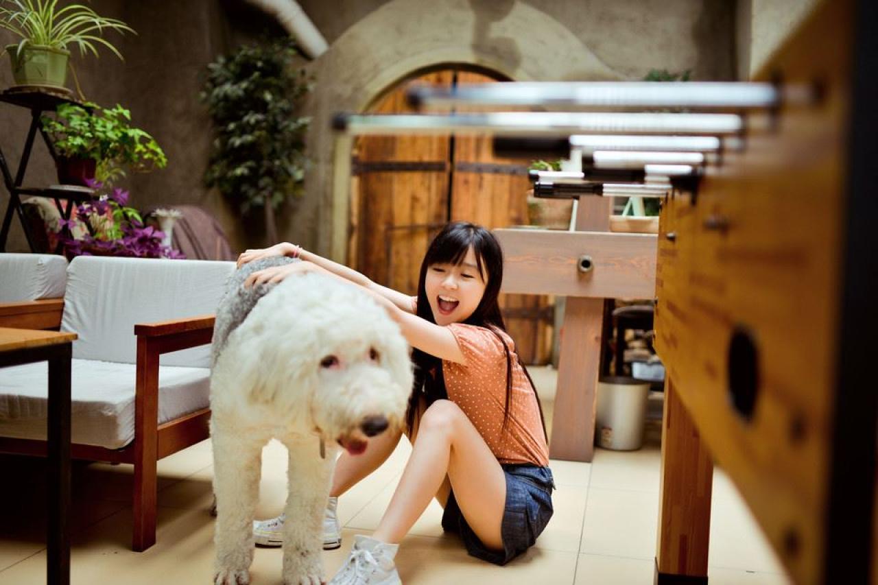 宋伊人哈哈大笑双手扒在白色狗狗背上