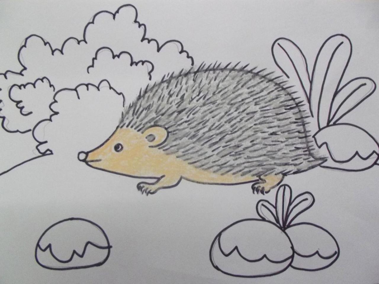 第四步，用黑色勾线笔画出背景