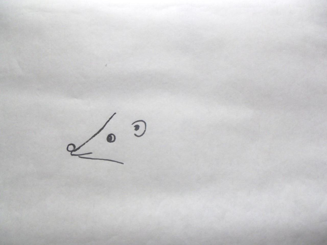 第一步，画小刺猬的嘴、鼻子、眼睛和耳朵