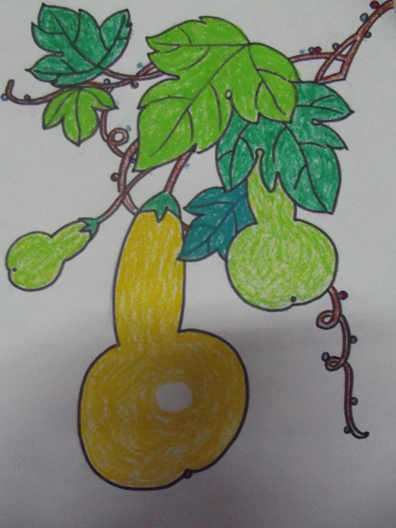 第四步，涂藤蔓及果实