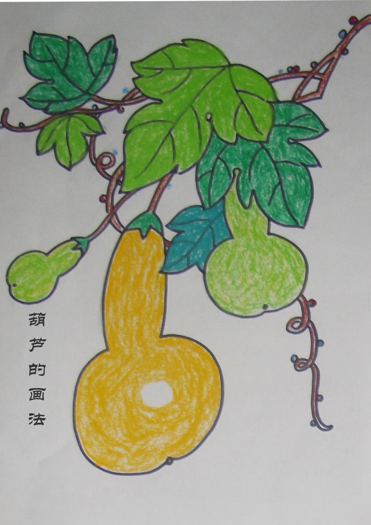 葫芦的画法 完成稿