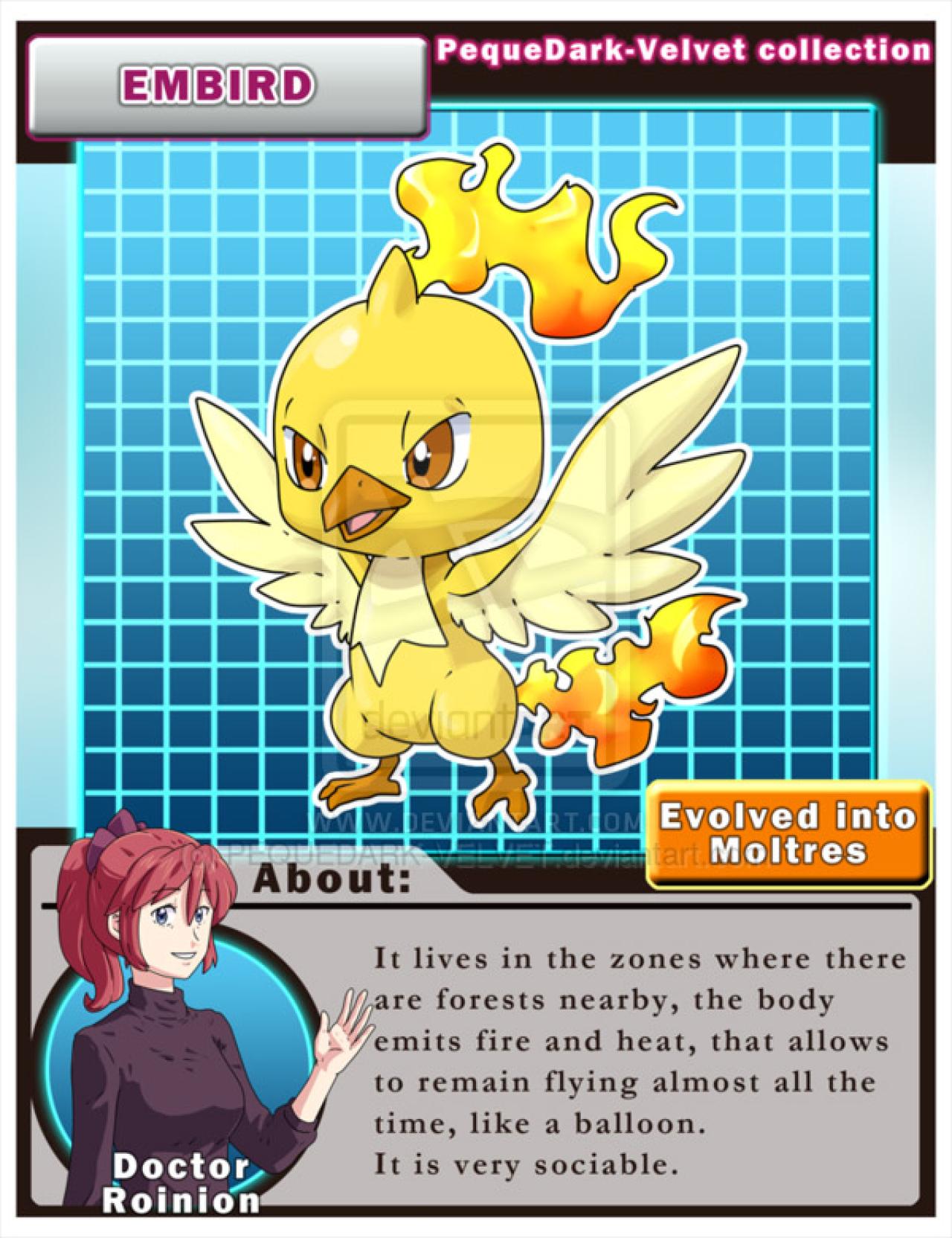 火焰鸟的幼年型