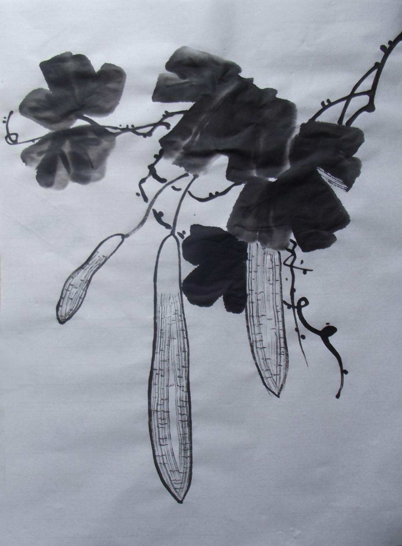 第三步，画丝瓜