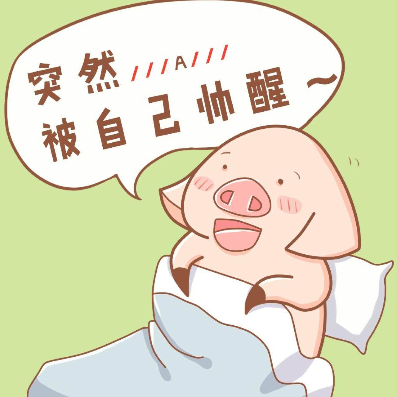 小猪八件表情：突然……被自己帅醒~