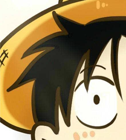 船长蒙奇·D·路飞半边脸头像