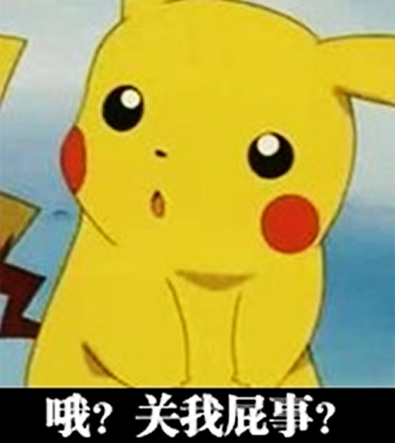 皮卡丘呆萌表情：哦？管我屁事？