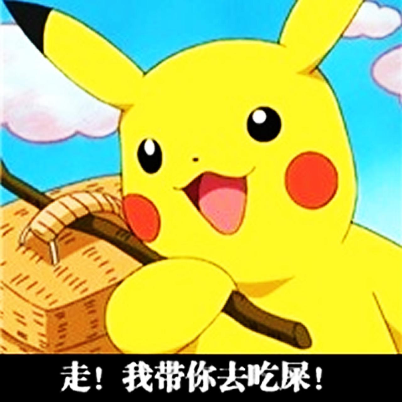 皮卡丘挑着扁担萌贱表情：走，我带你去吃屎！