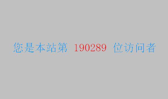 代码应用效果：你是本站第190289位访问者