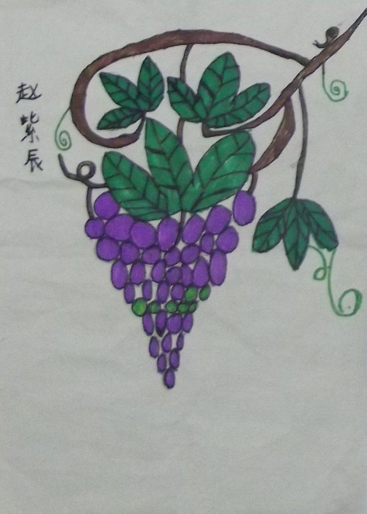 葡萄 赵紫辰画
