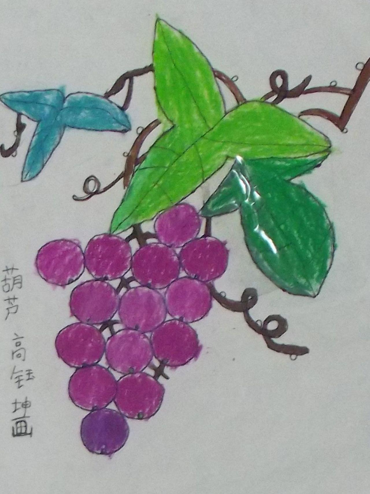 葡萄 高钰坤画