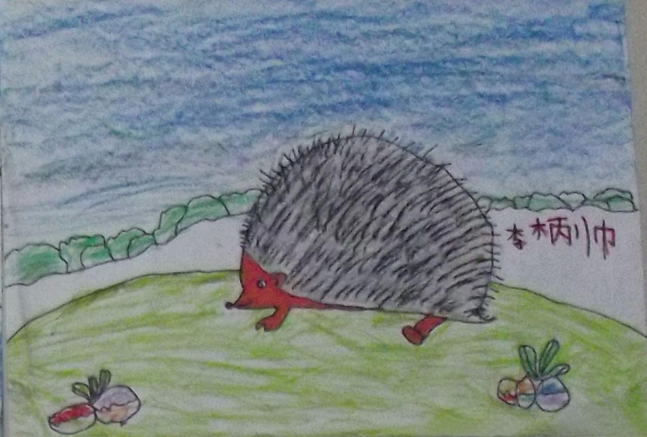 小刺猬 李柄帅画