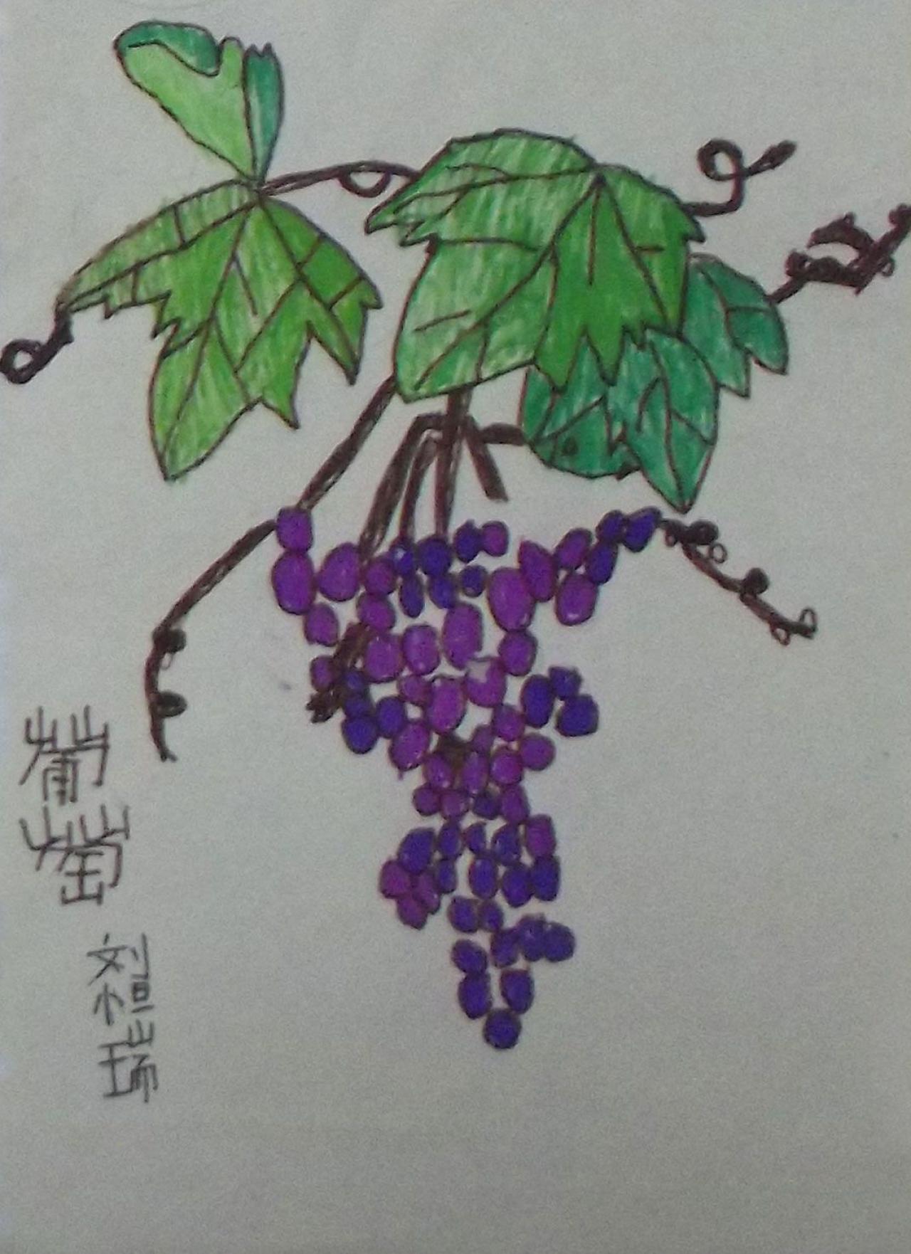 葡萄 刘恒瑞画