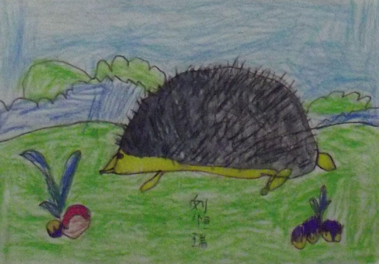 小刺猬 刘恒瑞画