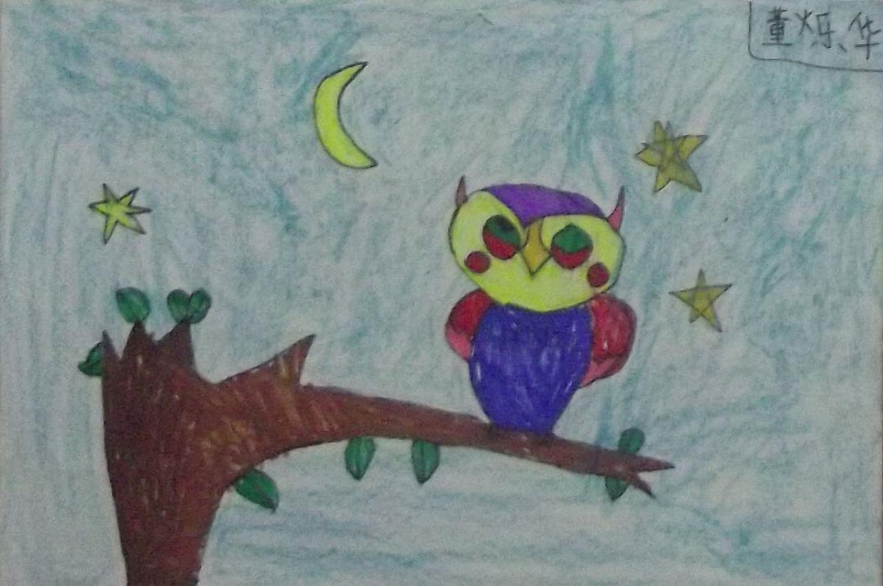 猫头鹰 董烁华画
