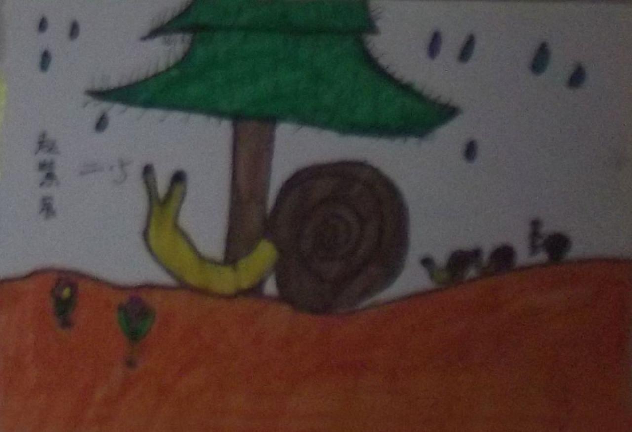 小蜗牛 赵紫辰画