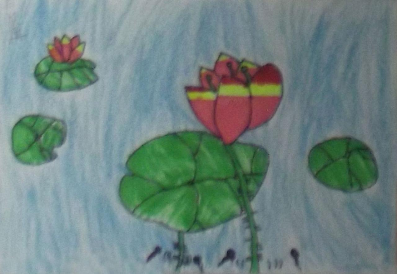 小蝌蚪找妈妈 闫欣冉画 