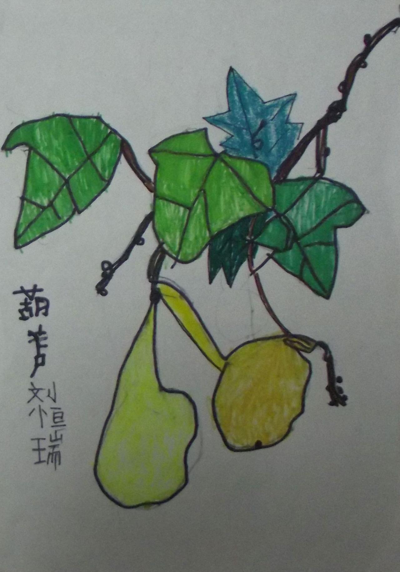 葫芦 刘恒瑞画