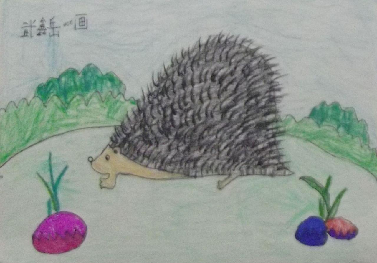小刺猬 武鑫岳画