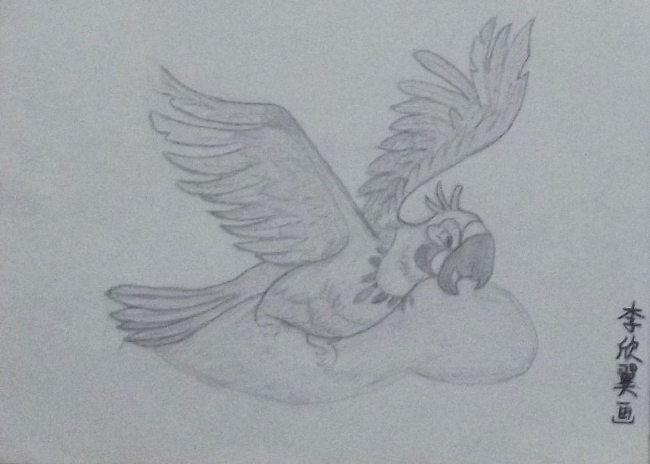老鹰 李欣翼画