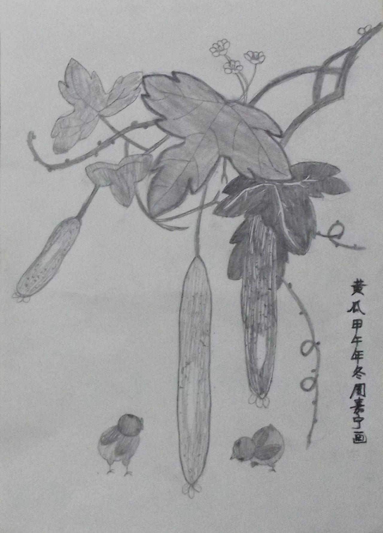 黄瓜 周嘉宁画