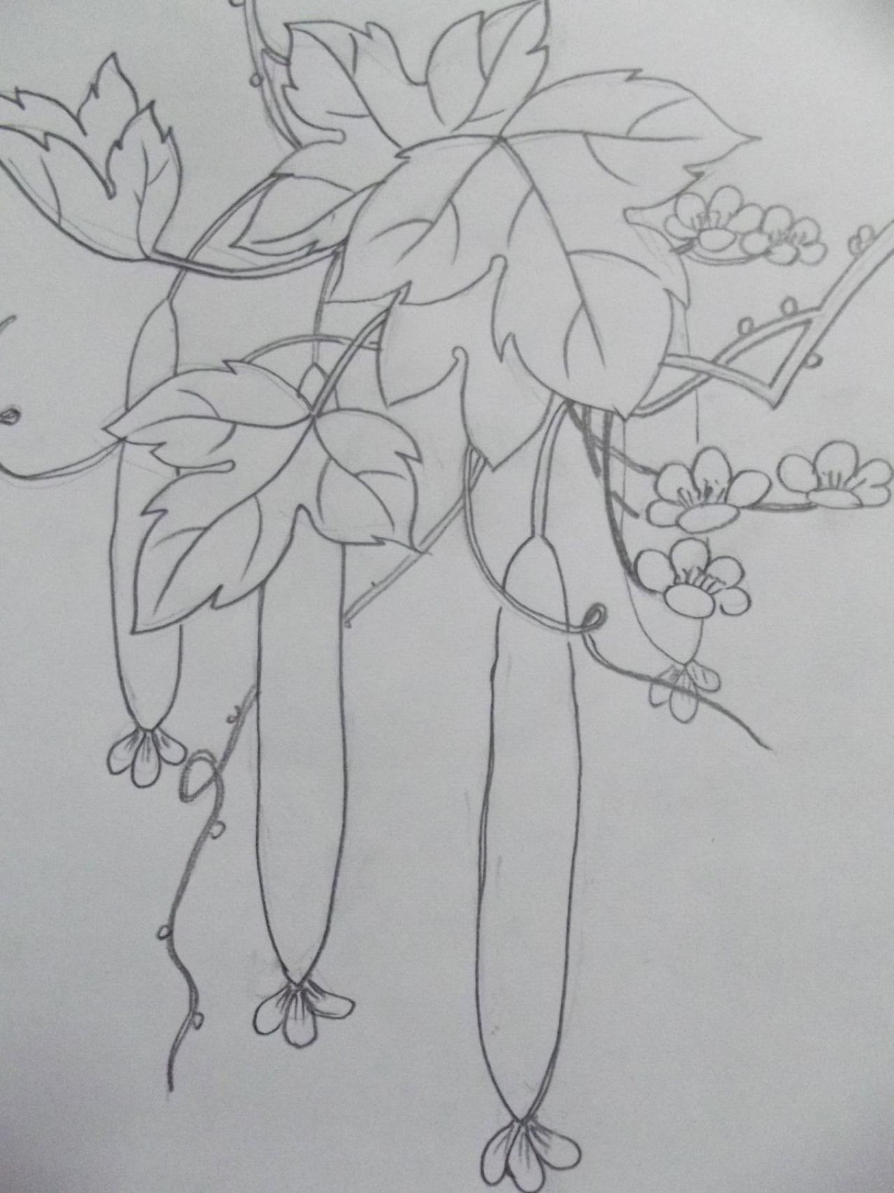 第二步，画结构