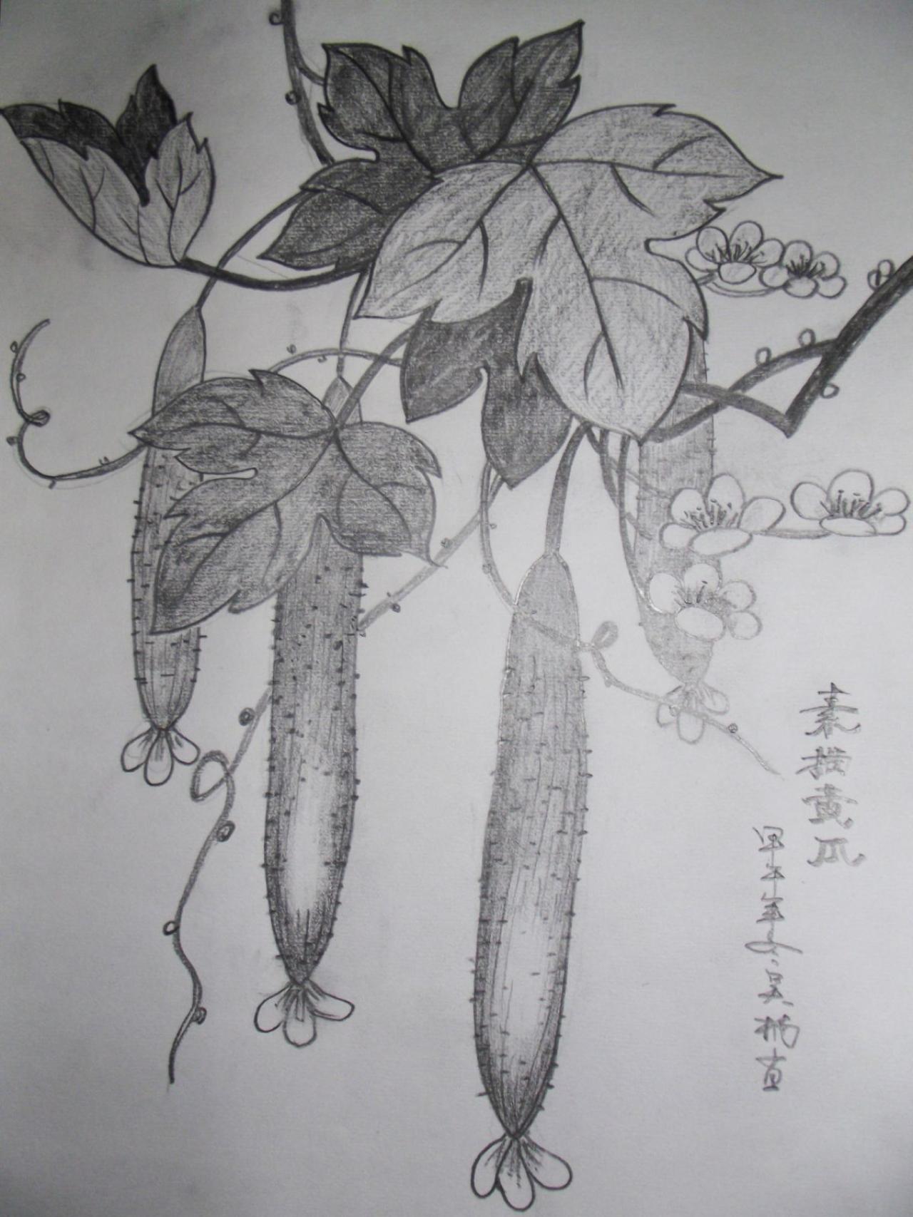 第六步，画花，落款