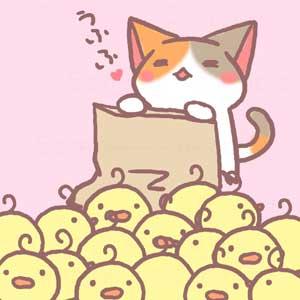 萌表情：猫咪心满意足的神情，袋子里装着满满的小鸡