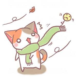 萌表情：猫咪：呀，小鸡被风吹走了，怪不得头上好冷。