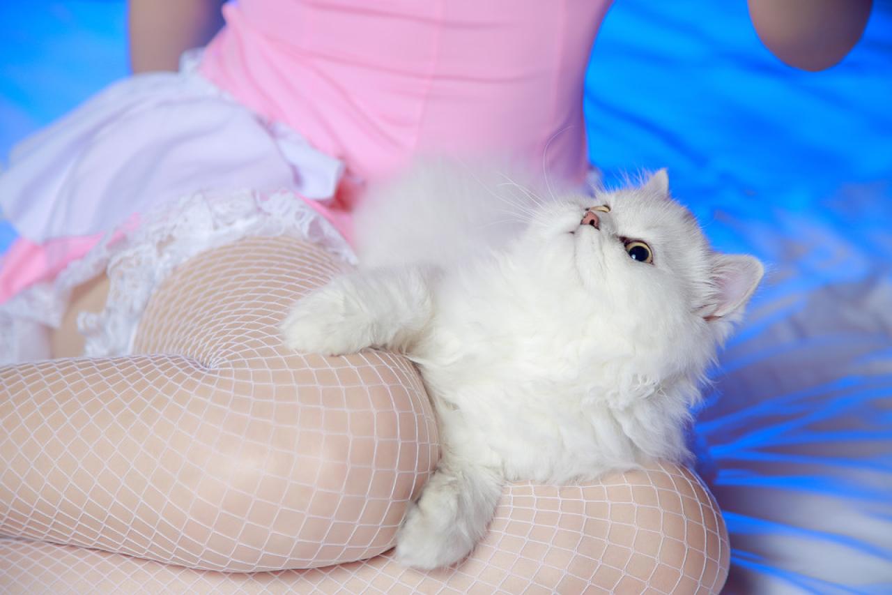 猫咪抬头望着雅美