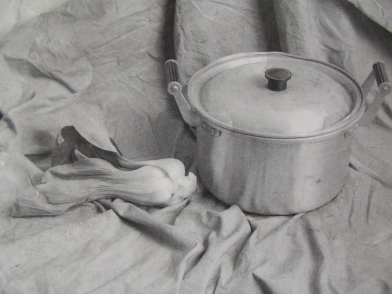 不锈钢和小油菜写生实物图（第一步，观察分析实物的结构）