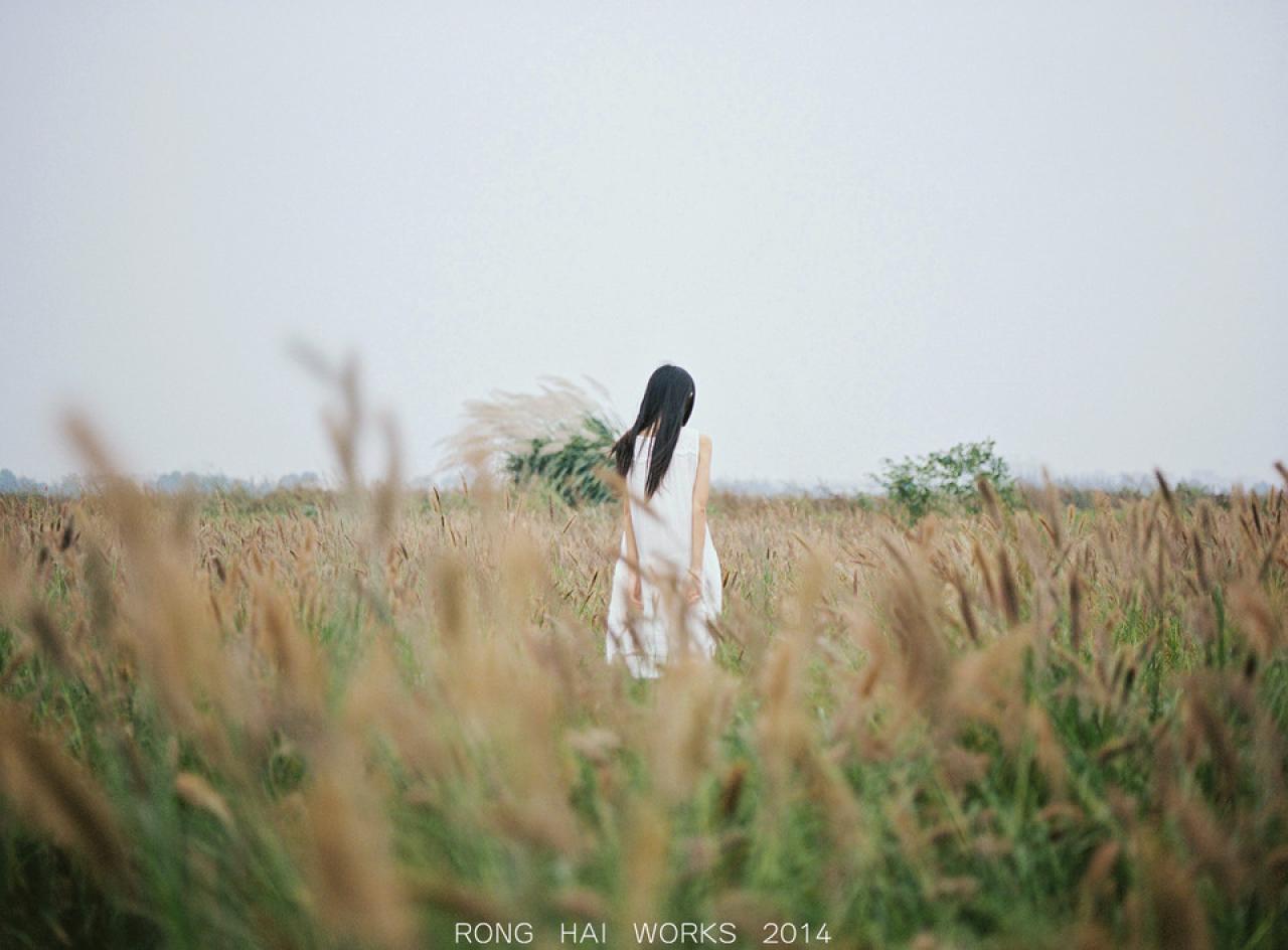 猫梓在原野颔首背影