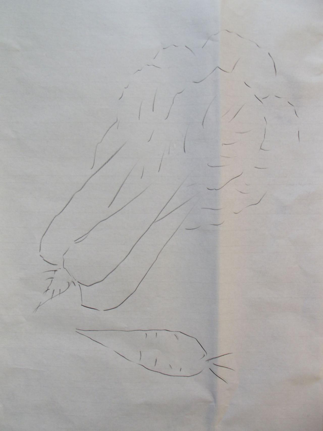 第一步，用木炭笔勾大白菜和胡萝卜的基本型