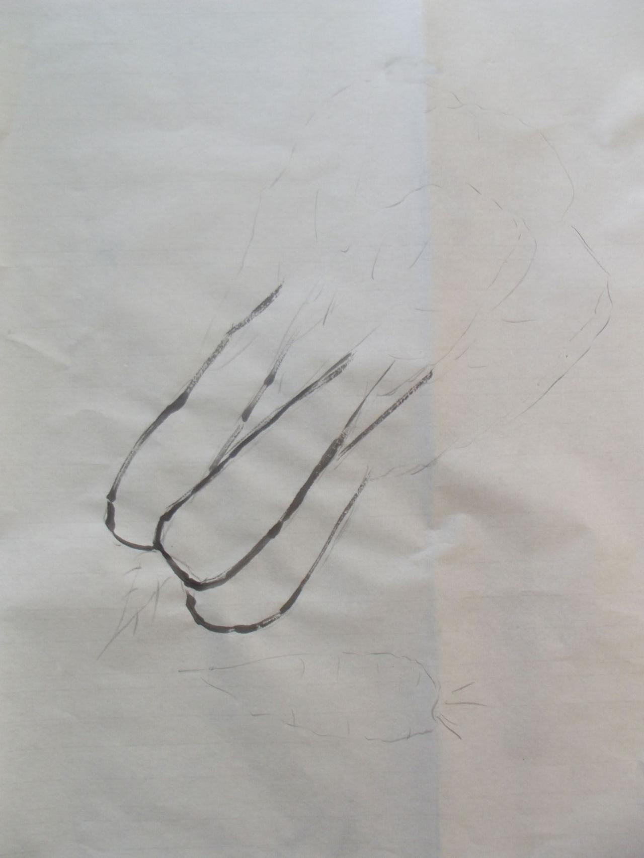 第二步，画白菜帮