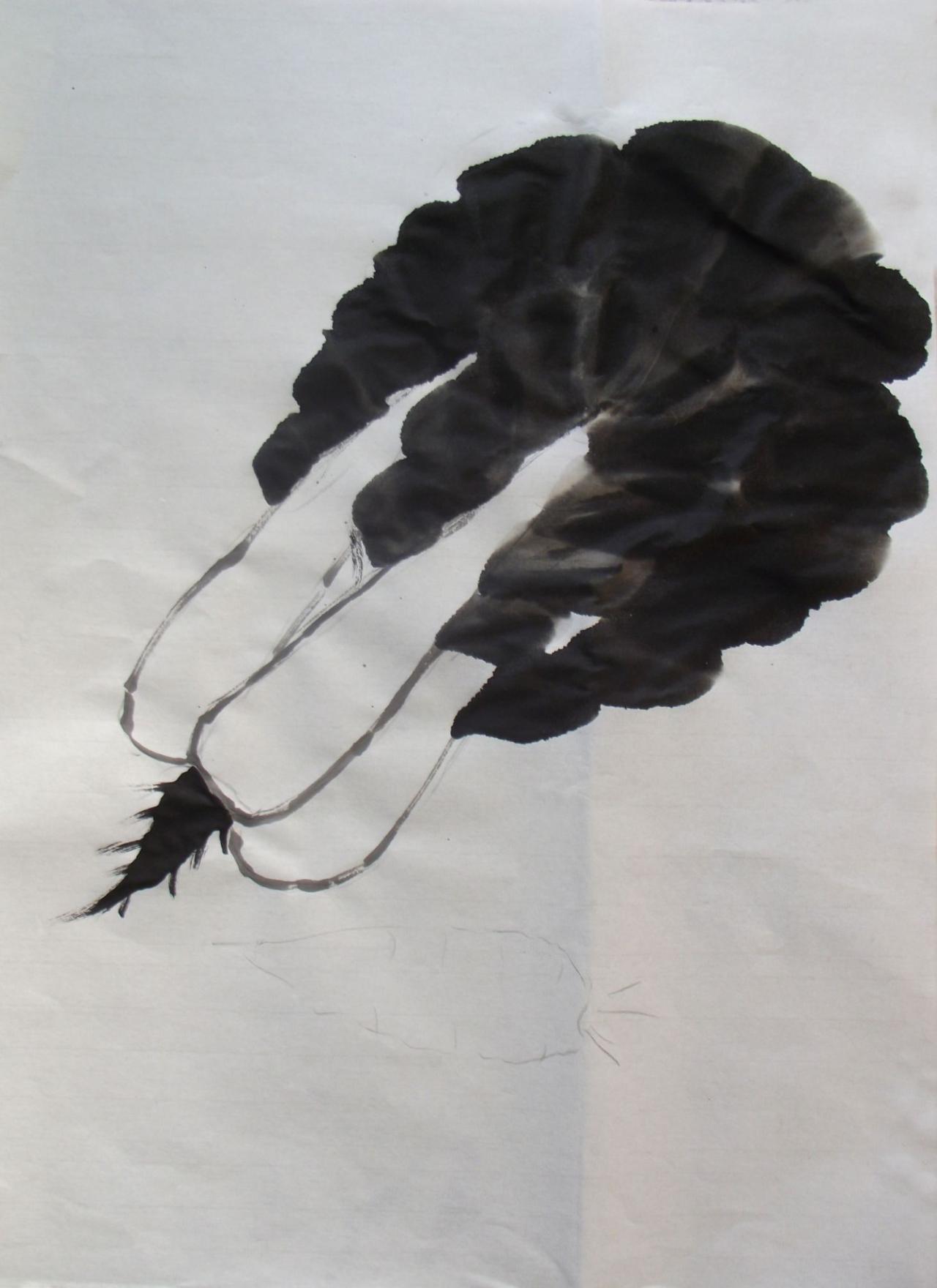 第五步，画白菜根