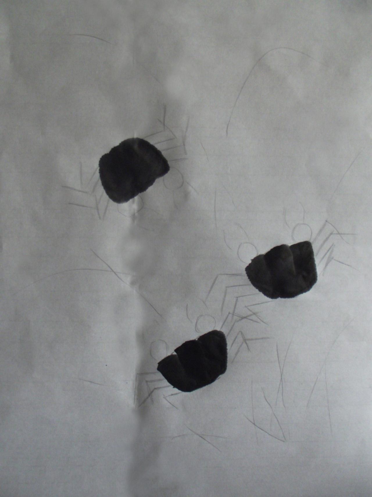 第二步，画螃蟹的身子