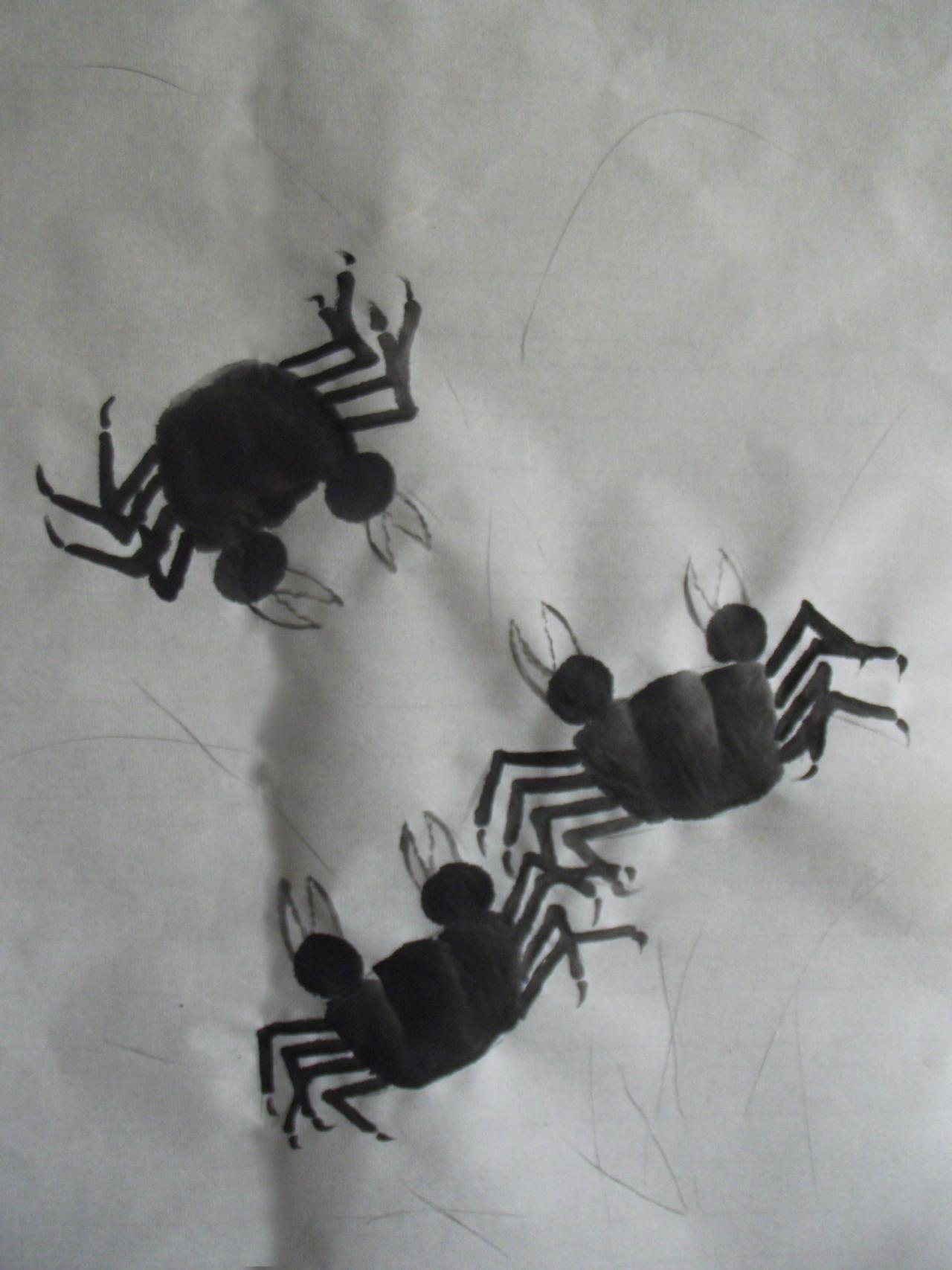 第四步，画螃蟹的腿及钳子