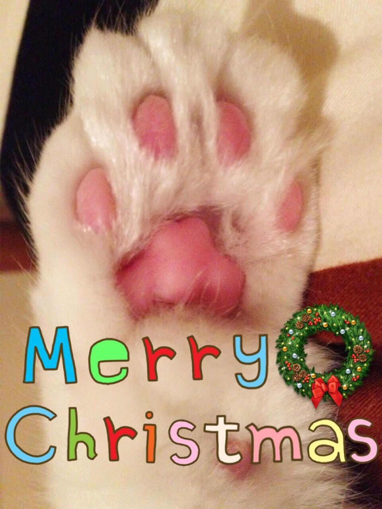 猫咪招财粉嫩猫爪头像