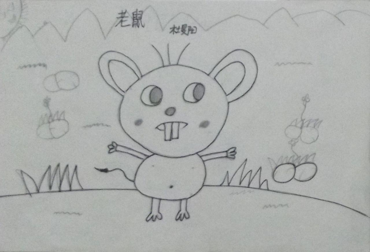 老鼠 杜旻阳画