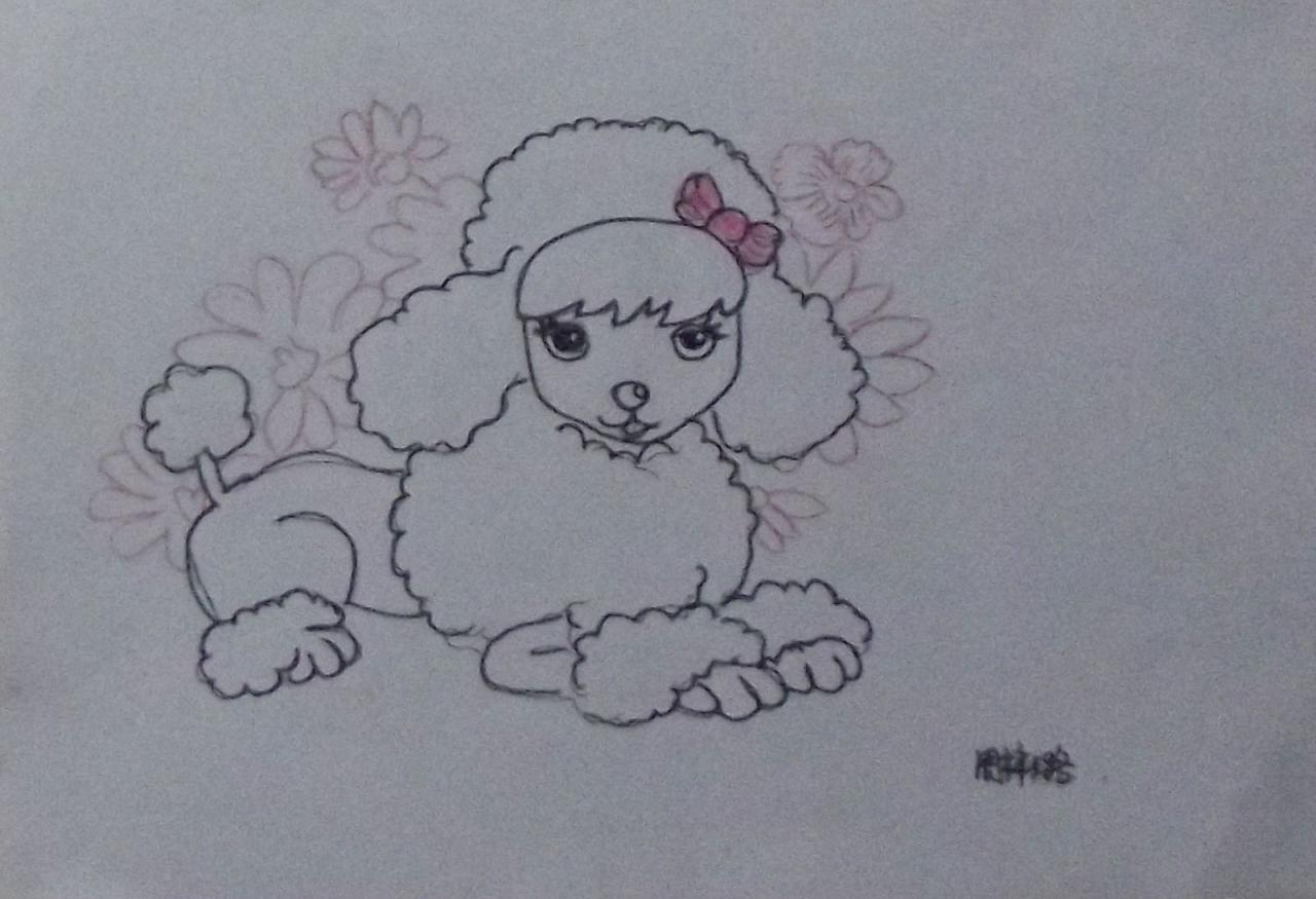 动漫卡通 贵宾犬（宠物狗） 周梓璐画