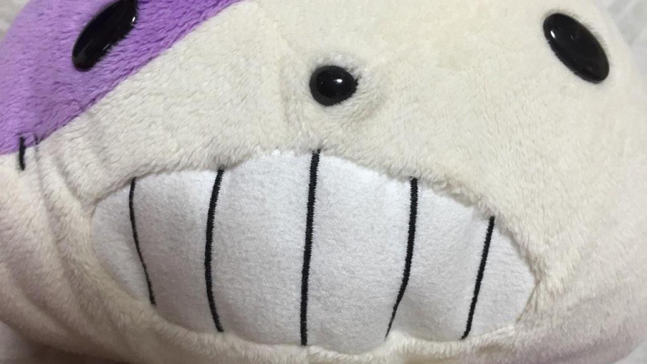 道具兔子玩偶的脸部特写