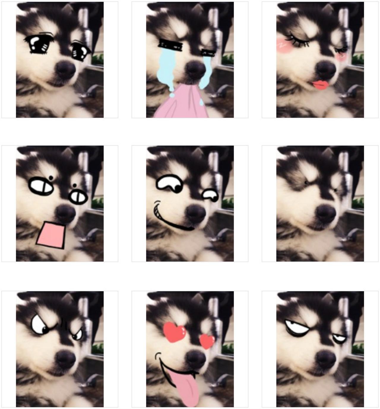 马达加斯加卖萌头像 预览图